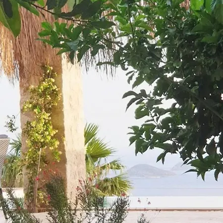 Rubick, A Piece Of Ancient Lycia Kaş