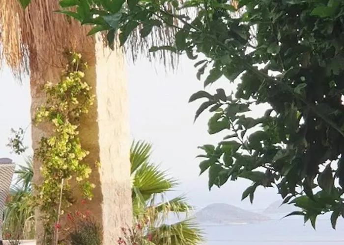 Rubick, A Piece Of Ancient Lycia 카스