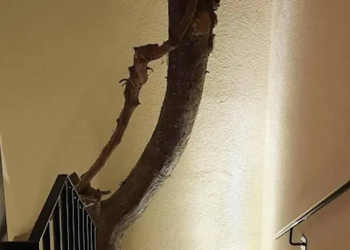 Rubick, A Piece Of Ancient Lycia 빌라 카스