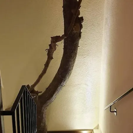 Rubick, A Piece Of Ancient Lycia וילה קס