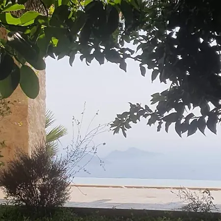 Rubick, A Piece Of Ancient Lycia קס